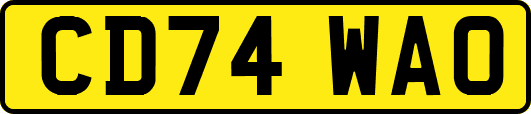 CD74WAO