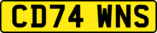 CD74WNS