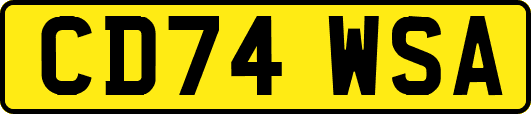 CD74WSA