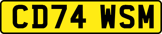 CD74WSM