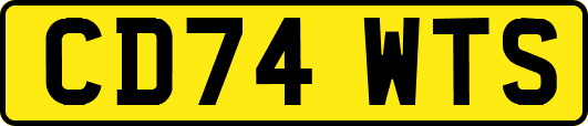 CD74WTS