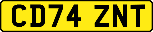 CD74ZNT