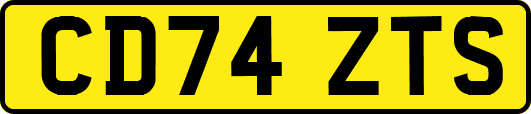 CD74ZTS