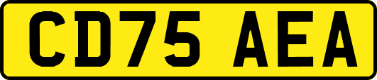 CD75AEA