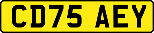 CD75AEY