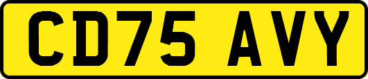 CD75AVY