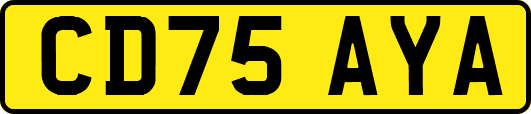 CD75AYA