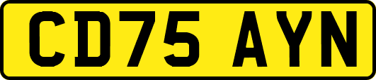CD75AYN