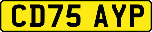CD75AYP