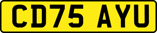 CD75AYU
