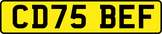 CD75BEF