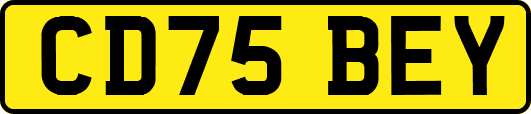 CD75BEY