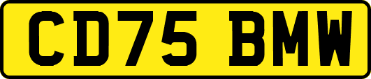 CD75BMW