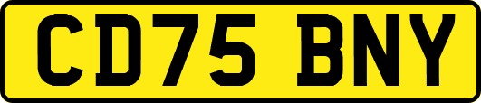 CD75BNY