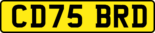 CD75BRD