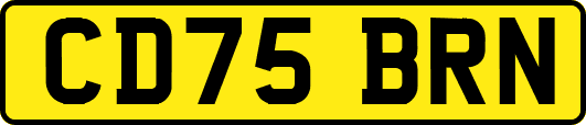 CD75BRN