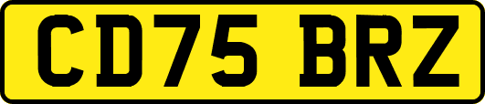 CD75BRZ