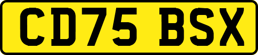 CD75BSX