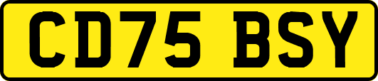 CD75BSY