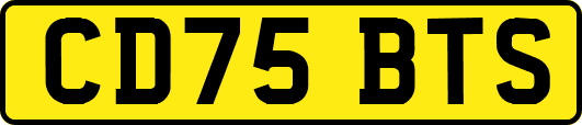 CD75BTS