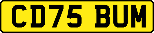 CD75BUM