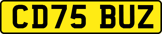CD75BUZ