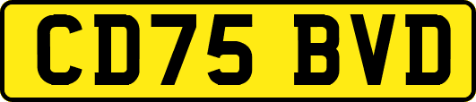 CD75BVD