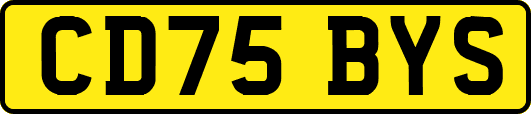 CD75BYS