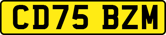 CD75BZM