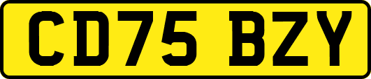 CD75BZY