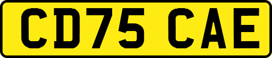 CD75CAE