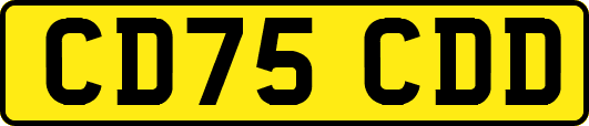 CD75CDD