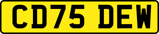 CD75DEW