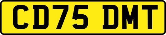 CD75DMT