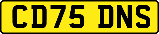 CD75DNS