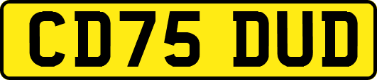 CD75DUD