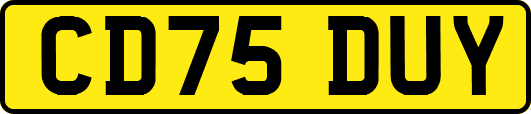 CD75DUY