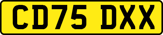 CD75DXX