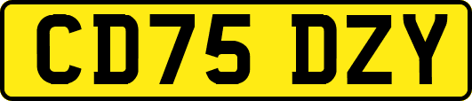 CD75DZY