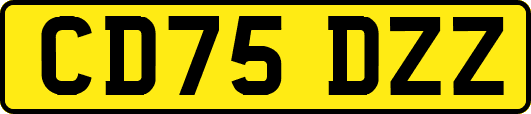 CD75DZZ
