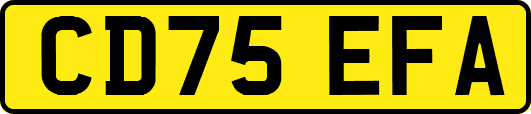 CD75EFA