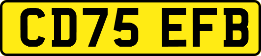 CD75EFB