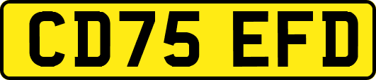 CD75EFD