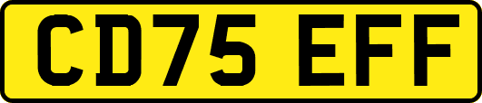 CD75EFF