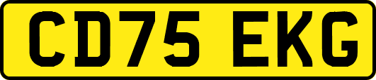 CD75EKG