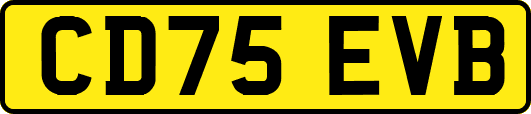 CD75EVB