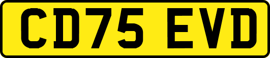 CD75EVD