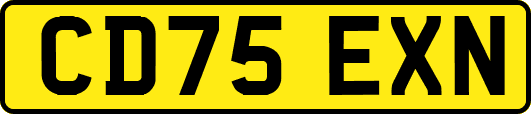 CD75EXN