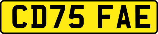 CD75FAE