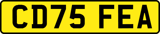 CD75FEA